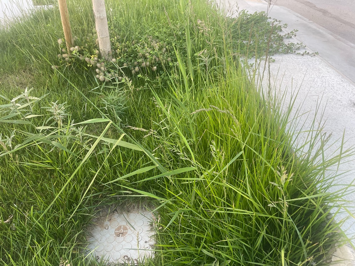 image10.jpeg